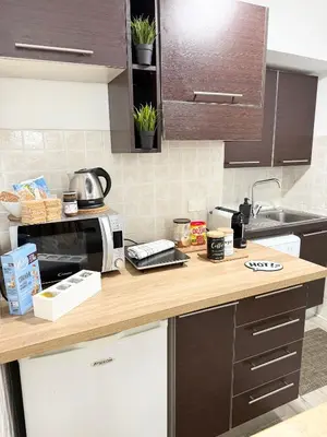 a kitchen with a counter top with a microwave at VOLUPTA' S HOUSE in Rome MANZONI - COLOSSEO in Rome