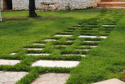 a stepping stone path in a grassy yard at Trullo Amato with exclusive pool in Rome