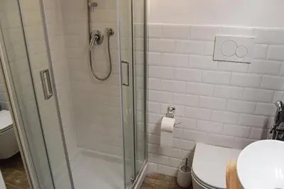 a bathroom with a shower and a toilet at Bright and cosy appartament near the city center in Rome