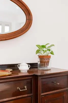 a potted plant on a dresser with a mirror at The Vatican Rest, Elegant Apt Nerby the Basilica in Rome