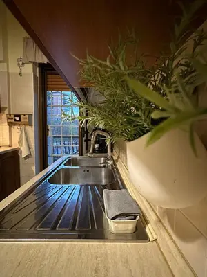 a kitchen sink with plants in a kitchen at A casa di Lù in Rome