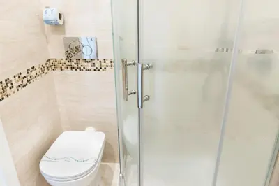a bathroom with a shower and a toilet at Domus Trevi in Rome