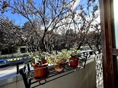 a row of potted plants sitting on a balcony at Da Elisa e Davide House in Rome