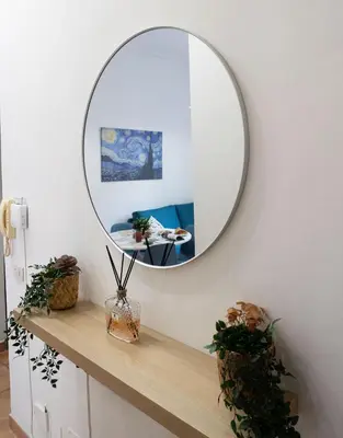 a mirror on a wall above a counter with plants at Aunt's Vatican Home in Rome