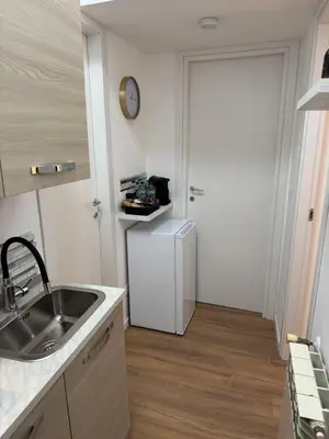 a kitchen with a sink and a refrigerator and a door at Piignetoo Apartment in Rome