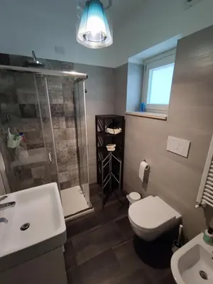 a bathroom with a shower and a toilet and a sink at Roberta and Luca cozy apartment with garden, terrace and pool in Rome