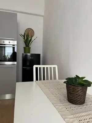 a kitchen with a table with a potted plant on it at Urban Corner in Rome