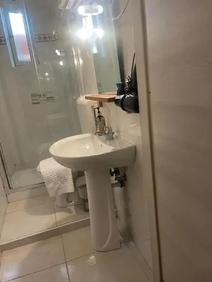 a bathroom with a white sink and a shower at Guest House Rome Termini Station in Rome