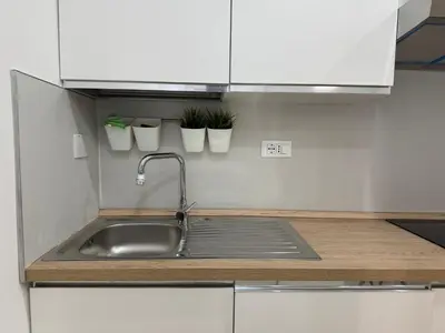 a kitchen counter with a sink and some plants at Casal Sweet Home in Rome