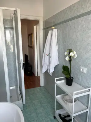 a bathroom with a white towel hanging on a wall at Tiburtina Sky Loft in Rome