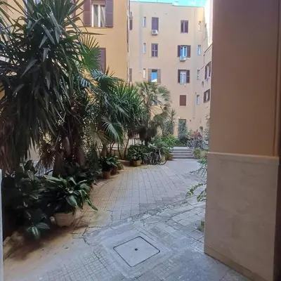 a courtyard with palm trees and a building at Apt Osci in Rome
