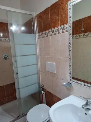 a bathroom with a toilet and a shower and a sink at AFFITTACAMERe ROME PALACE in Rome