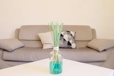 a vase with grass in it on a table in front of a couch at Apartments Portuense in Rome