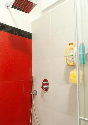 a shower in a bathroom with a red wall at Plumeria Bianca in Rome