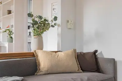 a couch with a pillow and a vase with a plant at Governo Central Apartment in Rome
