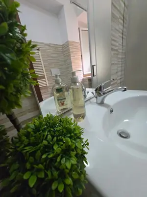 a bathroom sink with a bottle of soap and a plant at Casa in Rome