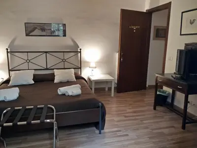 a bedroom with a bed and a desk and a television at Rome Center Rooms in Rome