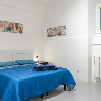 Lion Renting Vatican Apartment