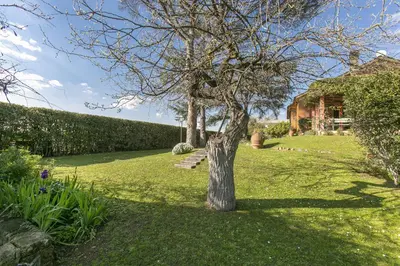 a tree in the middle of a yard at Rome Garden Hill in Rome