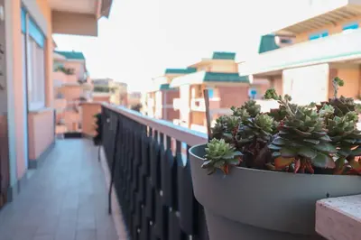 a potted plant on the ledge of a balcony at Elegant & Chic 2 Suites Apartment - 5min to Station, AC, Wi-Fi in Rome