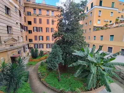 a tree in the middle of a street with buildings at Casa del Vinile Roma in Rome