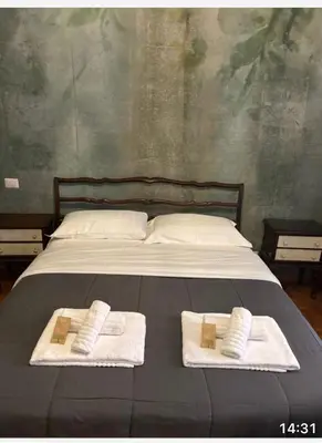 a bedroom with a large bed with a purple curtain at Sabo rooms in Rome