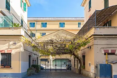 a building with a tree in the middle of a street at Alice House al Vaticano in Rome