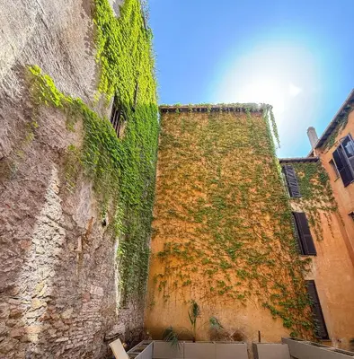 an old brick wall with green ivy on it at Pantheon Urbes Collection in Rome