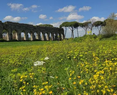 a field of yellow flowers in front of a bridge at Braliu Apartment in Rome
