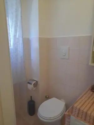 a small bathroom with a toilet and a shower at LIAM condo in Rome