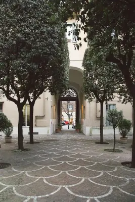 a walkway with trees in front of a building at Vatican Colors Rooms in Rome