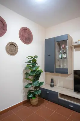 a plant in a room with a cabinet and a tv at Domus Loft Colosseum - Rione Monti in Rome