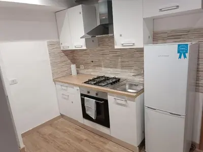 a kitchen with a white refrigerator and a sink at Ottavia apartment in Rome