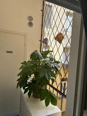 a plant sitting on a shelf next to a window at 753 Roma in Rome