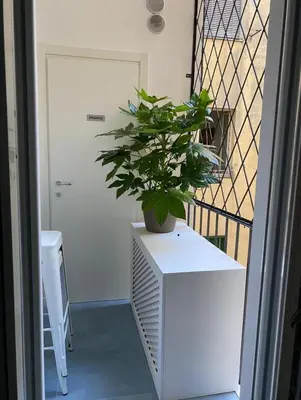 a plant sitting on top of a white cabinet at 753 Roma in Rome