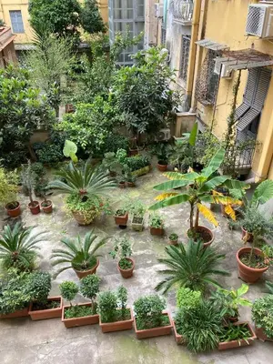 a bunch of potted plants in a courtyard at Casa Ferrari in Rome