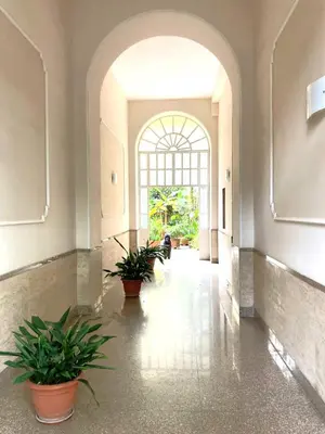 a hallway with potted plants and a large window at Casa Ferrari in Rome