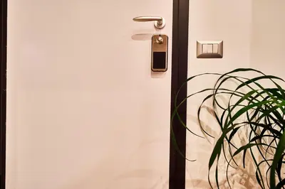 a door with a plant next to a wall at Vatican Meadows Apartment in Rome
