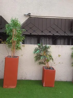 two orange containers with plants in them on the grass at Emmanuella Casa in Rome