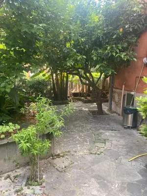 a garden with an orange tree and a fence at Villetta Garbata in Rome