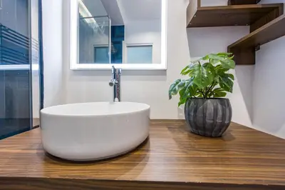 a bathroom with a white sink and a potted plant at Paruta Rooms 22 in Rome