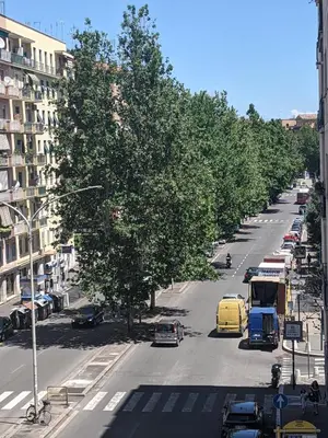 an overhead view of a city street with cars and trees at Casa Vacanze Kokoroma Cipro al Vaticano in Rome