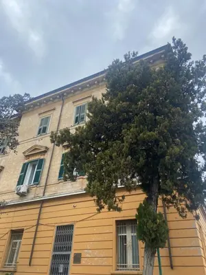 a yellow building with a tree in front of it at One of one Experiences - CINEMA ROOM in Rome