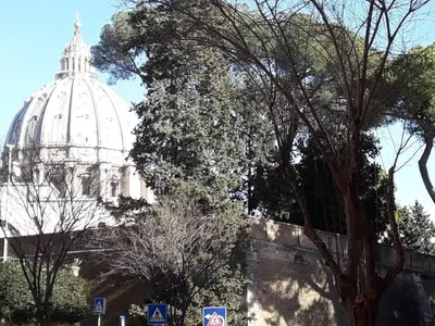 a building with a dome in the background with trees at San Pietro Leisure and Luxury in Rome