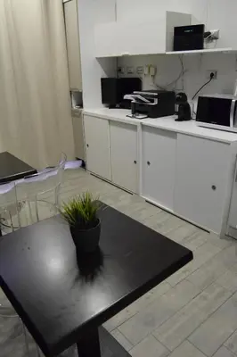 a kitchen with a table with a plant on it at Vatican Giulia in Rome