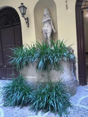 a statue in front of a building with plants at La Dimora del Brancaccio in Rome