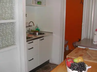 a kitchen with a sink and a bowl of fruit at Appartamento del Boschetto in Rome