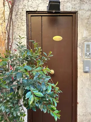a brown door with a plant in front of it at Home Delfini in Trastevere in Rome