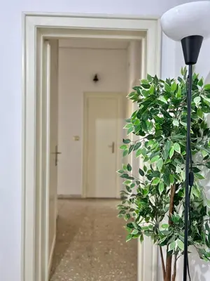 a hallway with a plant and a lamp and a door at Cipro Vatican Home in Rome
