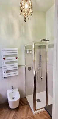 a bathroom with a shower and a toilet and a chandelier at LeChiaviDiCasa - Via Camilla in Rome